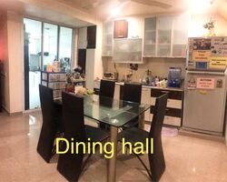Sennett Estate (D13), Terrace #435025981